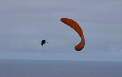 Tandem paragliding over Gran Canaria: pilot performing maneuvers above the ocean with stunning coastal views in the background